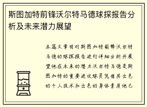 斯图加特前锋沃尔特马德球探报告分析及未来潜力展望